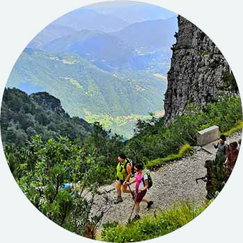 Tailor Made Tours Italian Flavours