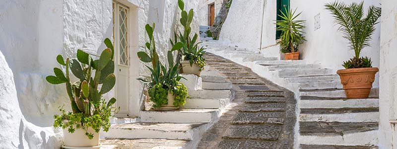 Puglia & Basilicata Gourmet Tour Italian Flavours