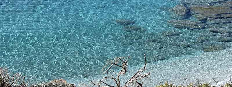 Sardinia Gourmet Tour Italian Flavours