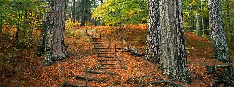 Enchanting Calabria Italian Flavours