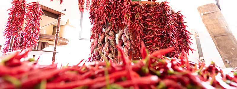 Enchanting Calabria Italian Flavours